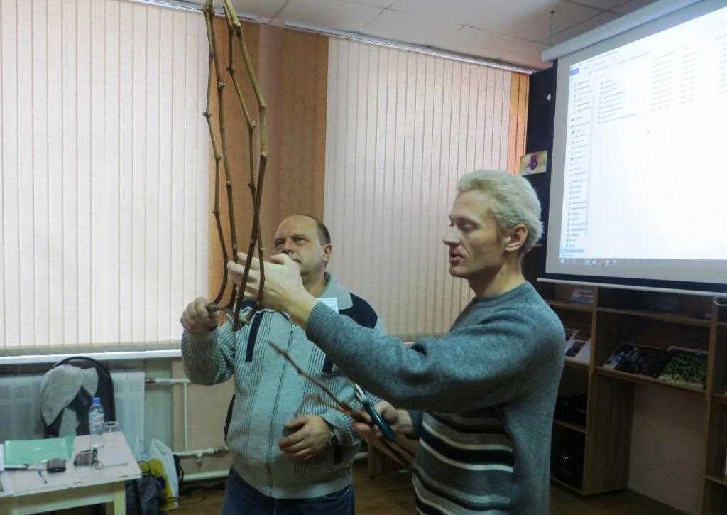 Шамаев Александр Николаевич и Жогов Сергей Васильевич, опытные виноградари, на примере лозы продемонстрировали как правильно нарезать черенки для хранения