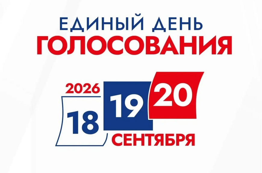Выборы
